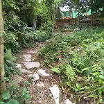 Hostel Kombi Curitiba - Filial Jardim Botanico